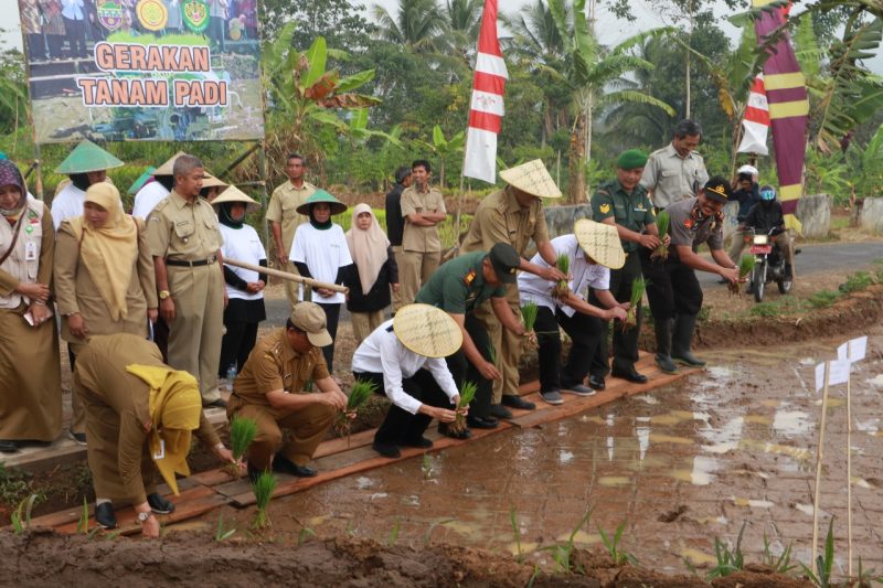 Kepala Badan Karantina Pertanian, Banun Harpini selaku Ketua Penanggung Upaya Khusus Swasembada Padi Jagung dan Kedelai (Upsus Pajale) Provinsi Jawa Barat lakukan panen diatas lahan 110 ha. 