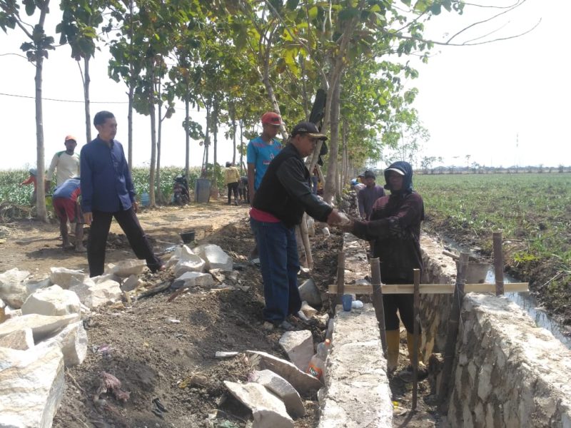 Lahan Sawah Tadah Hujan.