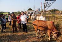 Hewan Kurban: Camat Mundu terima Hewan Qurban dari Direktur Cirebon Power