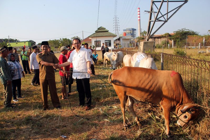 Hewan Kurban: Camat Mundu terima Hewan Qurban dari Direktur Cirebon Power