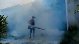 Operator penyemprotan fogging DBD. / Istimewa.