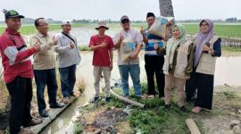 Didampingi PPL Ketua Kelompok Tani Kelompok Tani (Pokta ) Berkah Tani, Desa Sukakarsa, Kecamatan Sukarya, Sumardi (kaos biru) menerima bantuan benih dari Direktorat Perbenihan, Kementerian Pertanian. 