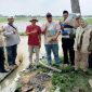 Didampingi PPL Ketua Kelompok Tani Kelompok Tani (Pokta ) Berkah Tani, Desa Sukakarsa, Kecamatan Sukarya, Sumardi (kaos biru) menerima bantuan benih dari Direktorat Perbenihan, Kementerian Pertanian. 