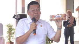 Kepala Badan Pangan Nasional, Arief Prasetyo Adi.