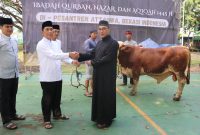 Plh Bupati Bekasi, Iyan Priyatna didampingi Kabag Kesra Setda Kabupaten Bekasi, Indra Satria Nugraha, menyerahkan hewan qurban satu ekor sapi di Pondok Pesantren At-Taqwa Putra, Ujung Harapan Kelurahan Bahagia Kecamatan Babelan, Senin (17/6/2024).
