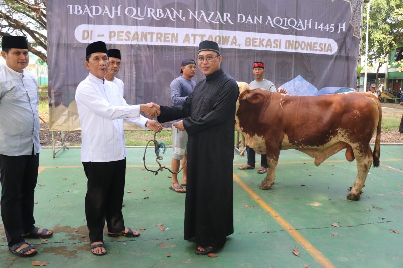Plh Bupati Bekasi, Iyan Priyatna didampingi Kabag Kesra Setda Kabupaten Bekasi, Indra Satria Nugraha, menyerahkan hewan qurban satu ekor sapi di Pondok Pesantren At-Taqwa Putra, Ujung Harapan Kelurahan Bahagia Kecamatan Babelan, Senin (17/6/2024).
