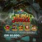 Tropical Jungle.