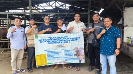 Petugas medis dari Dinas Pertanian Kabupaten Bekasi saat melakukan pemeriksaan kesehatan hewan kurban di salah satu lapak penjualan jelang Idul Adha 1446 H.