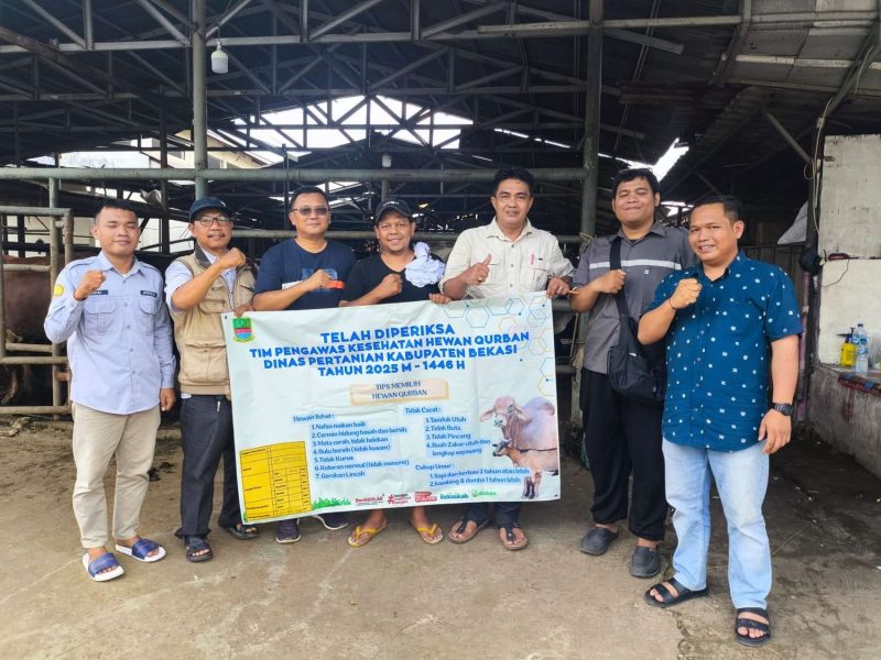 Petugas medis dari Dinas Pertanian Kabupaten Bekasi saat melakukan pemeriksaan kesehatan hewan kurban di salah satu lapak penjualan jelang Idul Adha 1446 H.