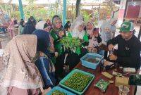 Peserta Workshop Hidroponik Forum UMKM Kecamatan Cibitung mengikuti praktik langsung bersama narasumber saat pelatihan hidroponik di Kebon Besan, Sabtu (16/5/2026). Kegiatan ini memberikan edukasi tentang teknik budidaya hidroponik serta peluang usaha bagi pelaku UMKM.