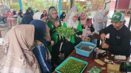Peserta Workshop Hidroponik Forum UMKM Kecamatan Cibitung mengikuti praktik langsung bersama narasumber saat pelatihan hidroponik di Kebon Besan, Sabtu (16/5/2026). Kegiatan ini memberikan edukasi tentang teknik budidaya hidroponik serta peluang usaha bagi pelaku UMKM.