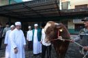 Keterangan Foto:
Plh Wali Kota Bekasi Abdul Harris Bobihoe menyerahkan secara simbolis sapi kurban bantuan Presiden RI Prabowo Subianto berbobot 1,2 ton kepada pengurus Masjid Al Mukhlisin dan masyarakat di Jatiasih, Kota Bekasi, Rabu (27/5/2026).