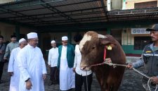 Keterangan Foto:
Plh Wali Kota Bekasi Abdul Harris Bobihoe menyerahkan secara simbolis sapi kurban bantuan Presiden RI Prabowo Subianto berbobot 1,2 ton kepada pengurus Masjid Al Mukhlisin dan masyarakat di Jatiasih, Kota Bekasi, Rabu (27/5/2026).