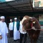 Keterangan Foto:
Plh Wali Kota Bekasi Abdul Harris Bobihoe menyerahkan secara simbolis sapi kurban bantuan Presiden RI Prabowo Subianto berbobot 1,2 ton kepada pengurus Masjid Al Mukhlisin dan masyarakat di Jatiasih, Kota Bekasi, Rabu (27/5/2026).
