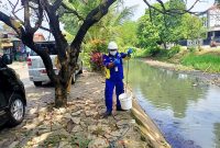 Petugas Dinas Lingkungan Hidup (DLH) Kota Bekasi melakukan pengambilan sampel air di aliran Kali Rawalumbu, Kecamatan Rawalumbu, Kota Bekasi, Senin (19/05/2026), menyusul dugaan pencemaran yang menyebabkan perubahan warna dan bau pada air kali.