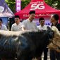 Direksi XLSMART bersama pengurus MTXLSMART menyerahkan hewan kurban dalam program Qurban Satu Rasa yang menjangkau 27 kota dan kabupaten di Indonesia. Program ini mengusung semangat 