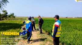 Keterangan foto: Petugas BBWS Cimanuk Cisanggarung menyalurkan air ke lahan pertanian terdampak kekeringan di Desa Japura Lor, Kecamatan Pangenan, Kabupaten Cirebon, Minggu (4/10/2026).