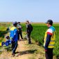 Keterangan foto: Petugas BBWS Cimanuk Cisanggarung menyalurkan air ke lahan pertanian terdampak kekeringan di Desa Japura Lor, Kecamatan Pangenan, Kabupaten Cirebon, Minggu (4/10/2026).